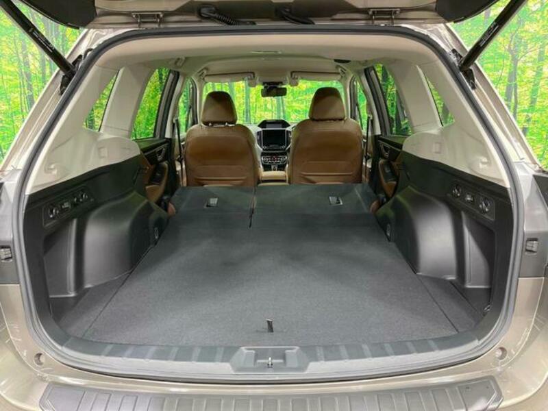 FORESTER-15