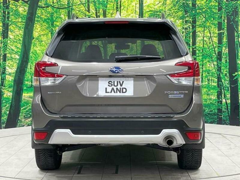 FORESTER-17