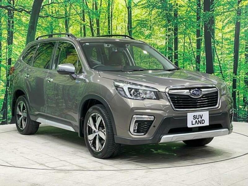 FORESTER-18