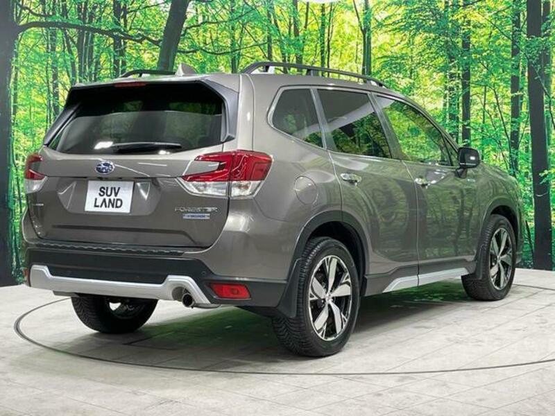 FORESTER-19