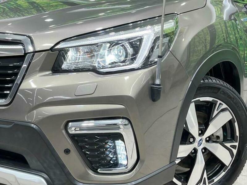 FORESTER-11