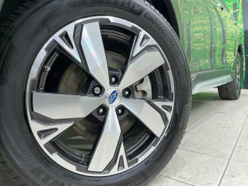 FORESTER-12