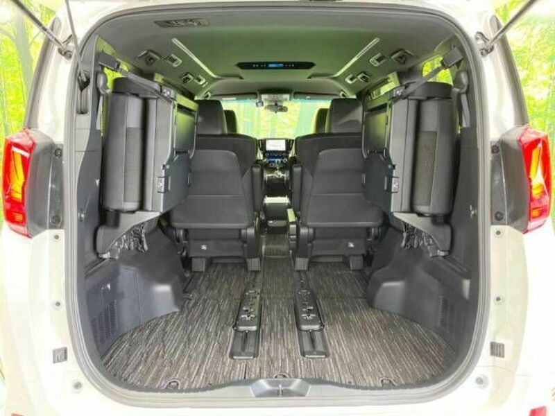 ALPHARD-11
