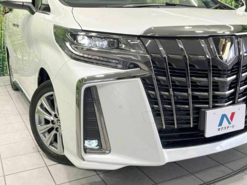 ALPHARD-13