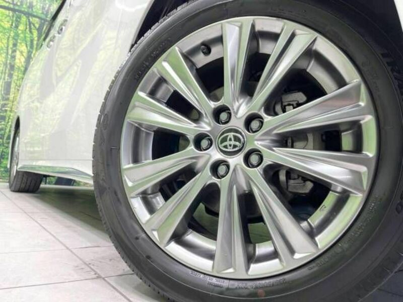 ALPHARD-14