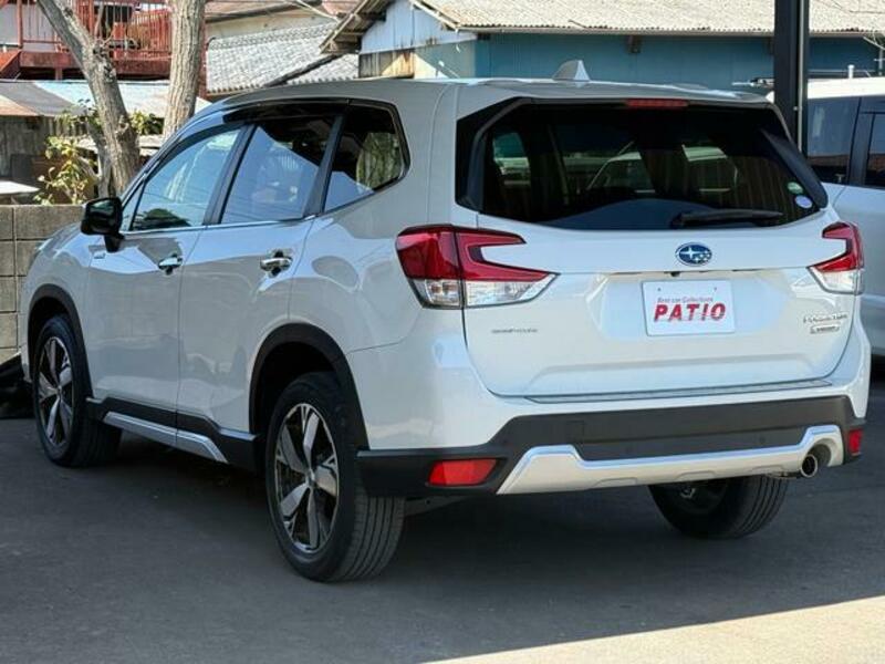 FORESTER-9
