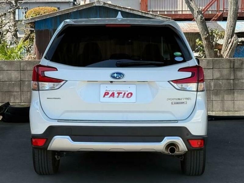 FORESTER-8