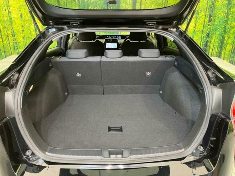 PRIUS-9