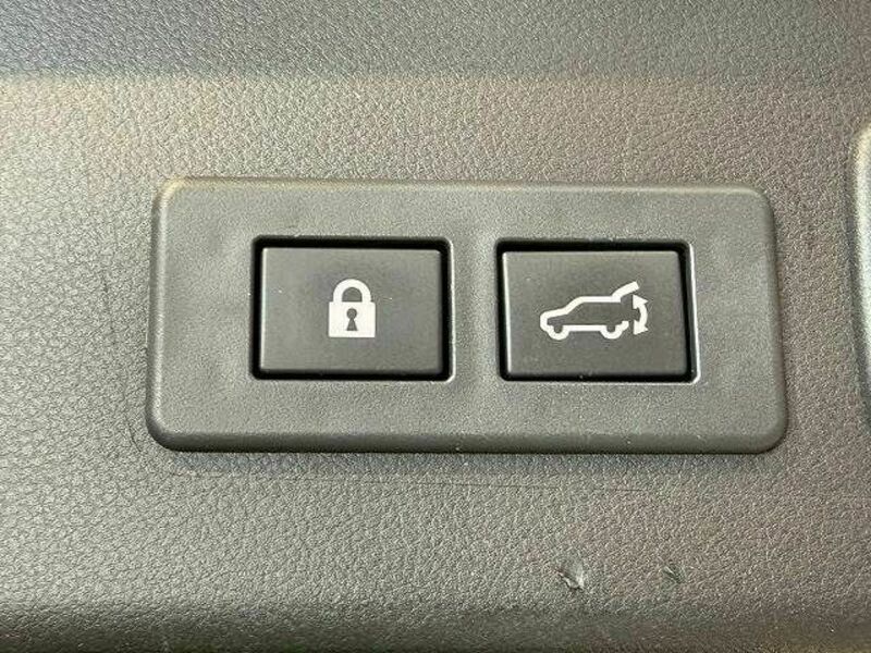 LEVORG-6