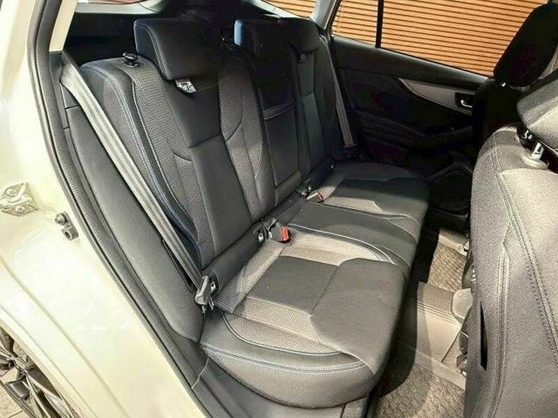 LEVORG-9