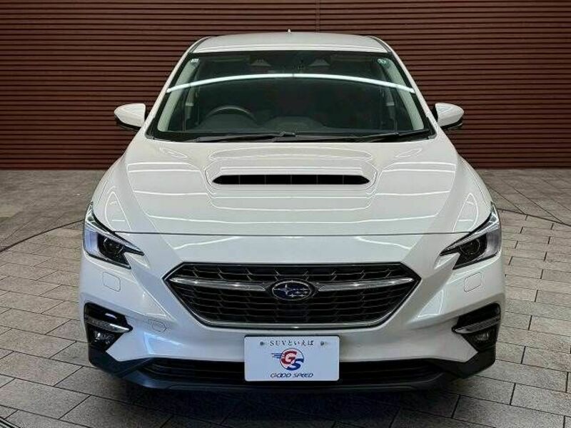 LEVORG-11