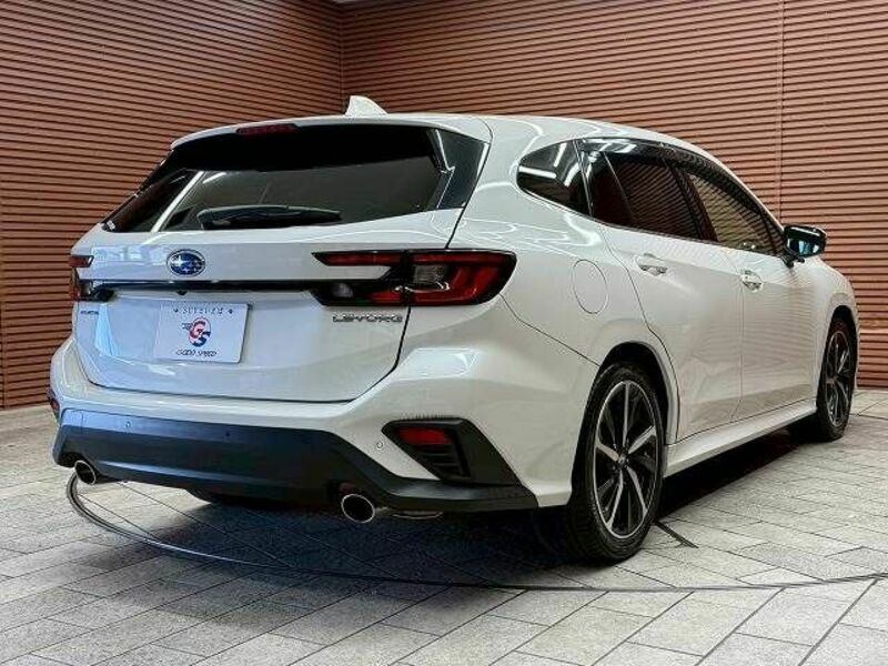 LEVORG-13