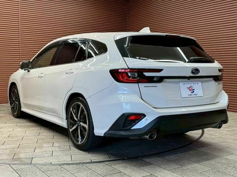 LEVORG-14