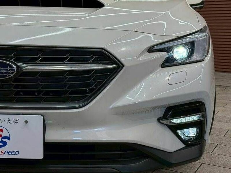 LEVORG-18