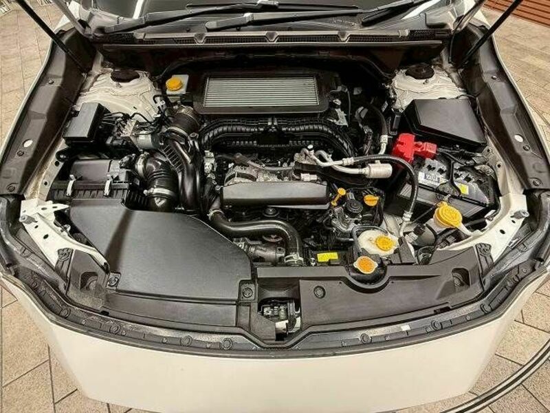 LEVORG-19