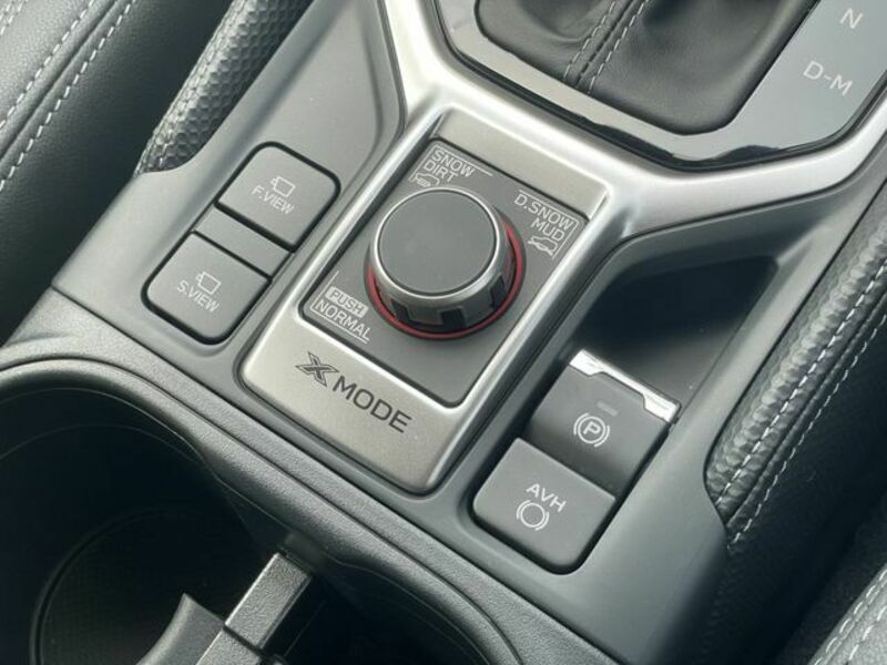 FORESTER-16