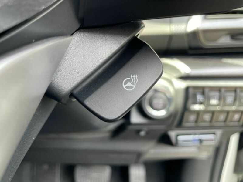FORESTER-20