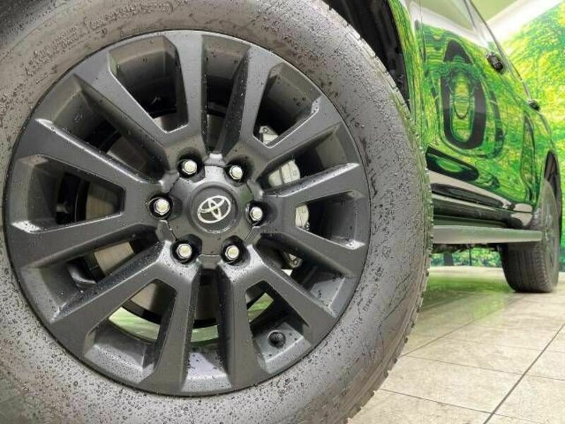 LAND CRUISER PRADO-12