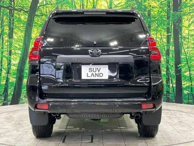 LAND CRUISER PRADO-17