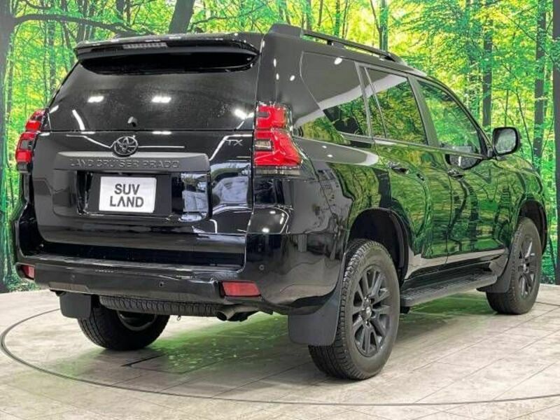 LAND CRUISER PRADO-19