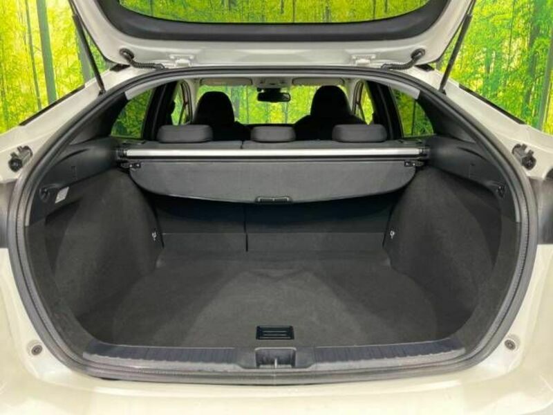 PRIUS-10