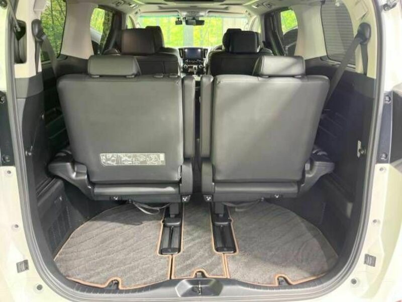 ALPHARD-10