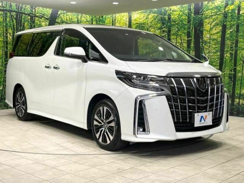 ALPHARD-16