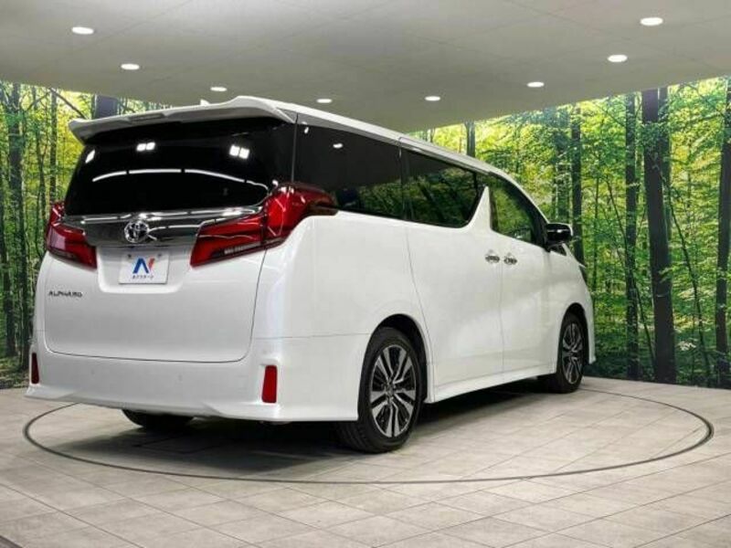 ALPHARD-17