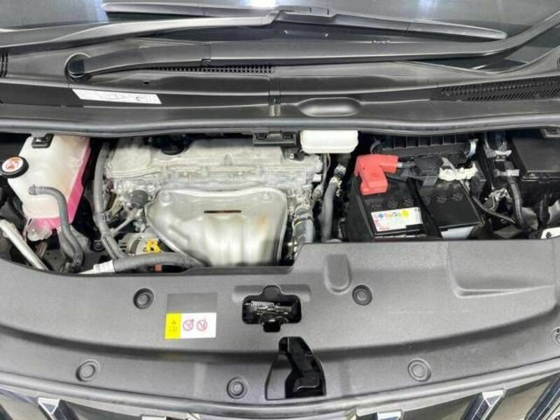 ALPHARD-18