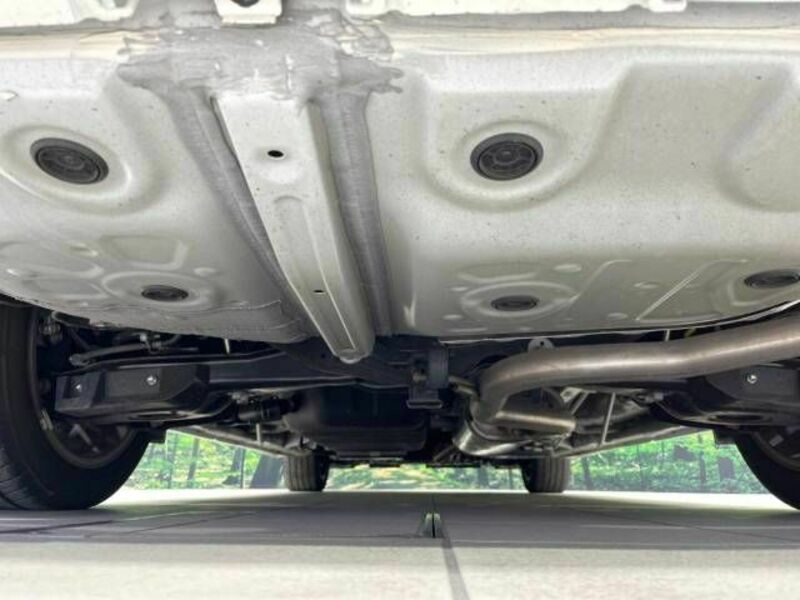 ALPHARD-19