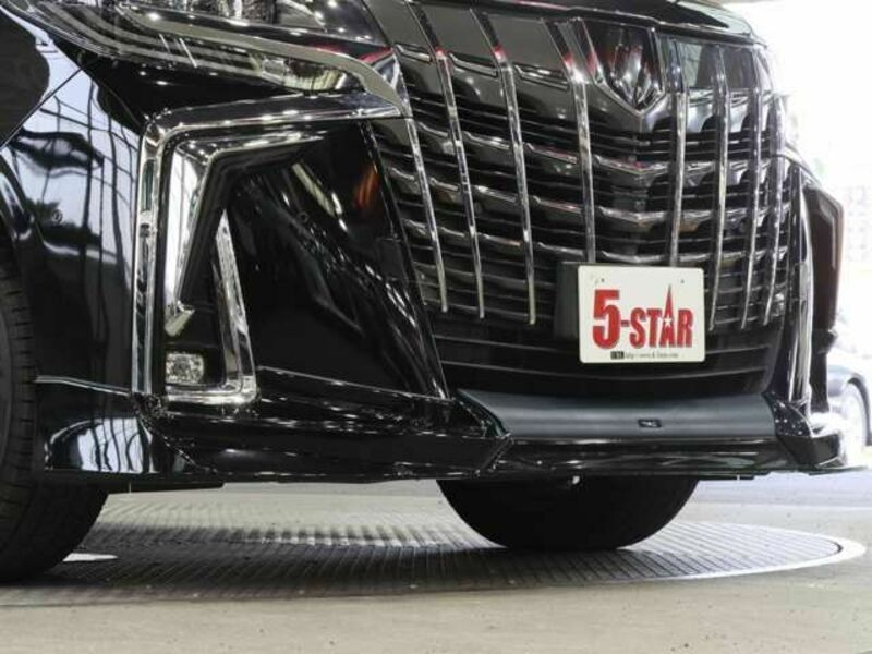 ALPHARD-6