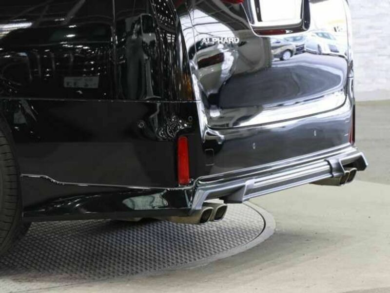 ALPHARD-7