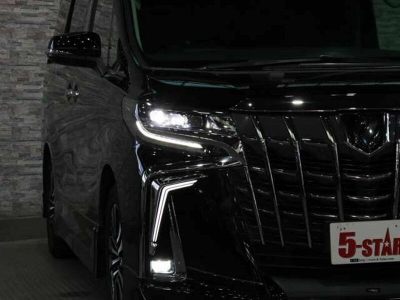 ALPHARD-15