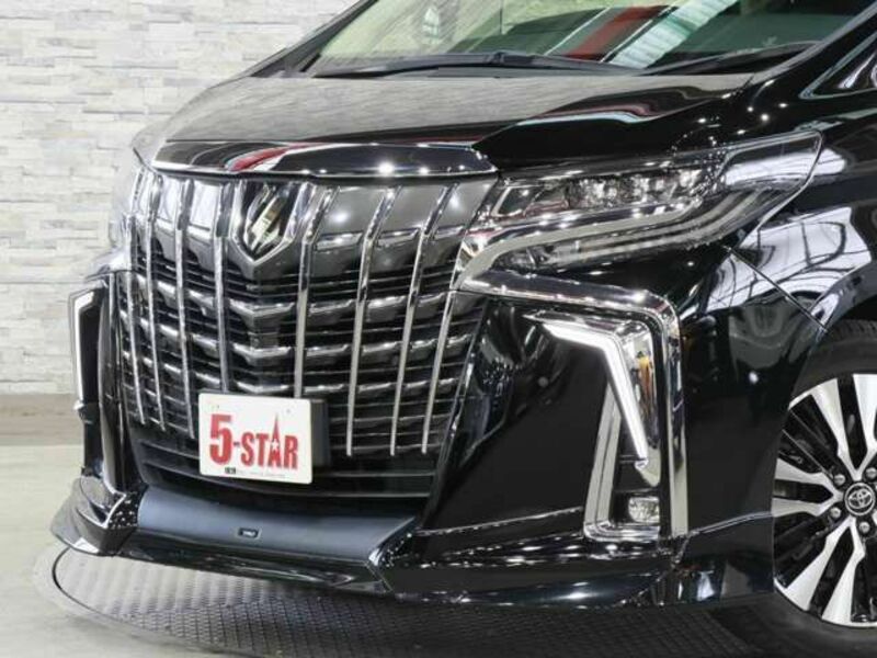 ALPHARD-16