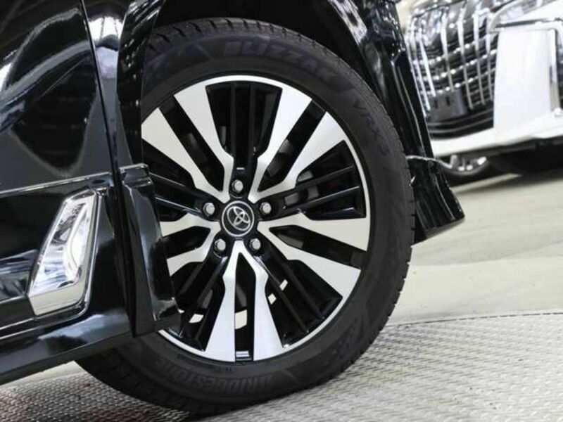 ALPHARD-19
