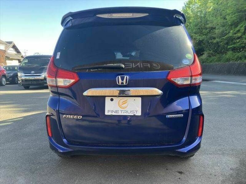 FREED HYBRID-17