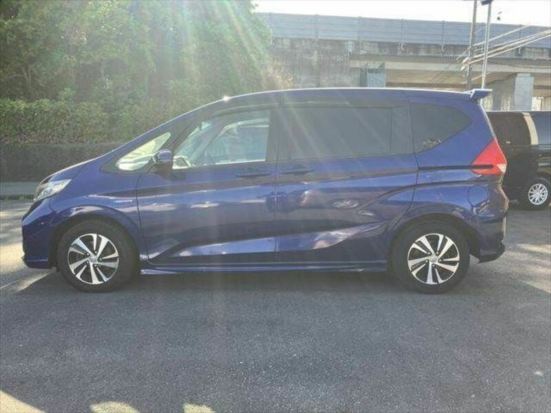 FREED HYBRID-19