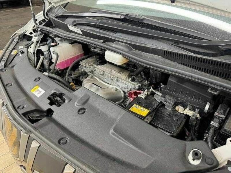 ALPHARD-17