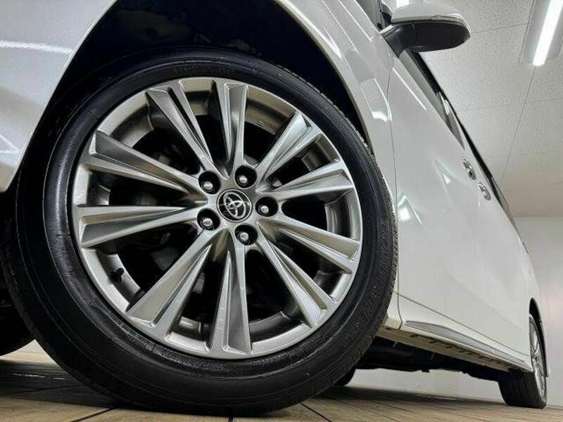 ALPHARD-18