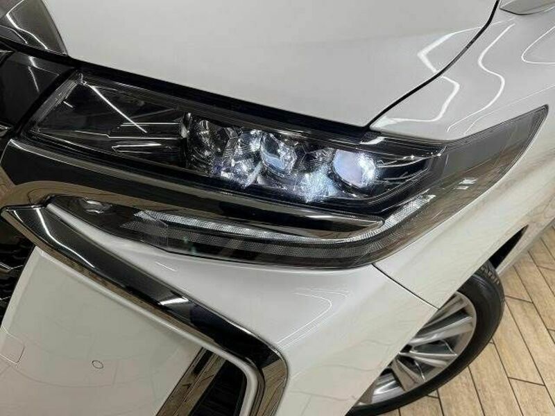 ALPHARD-19