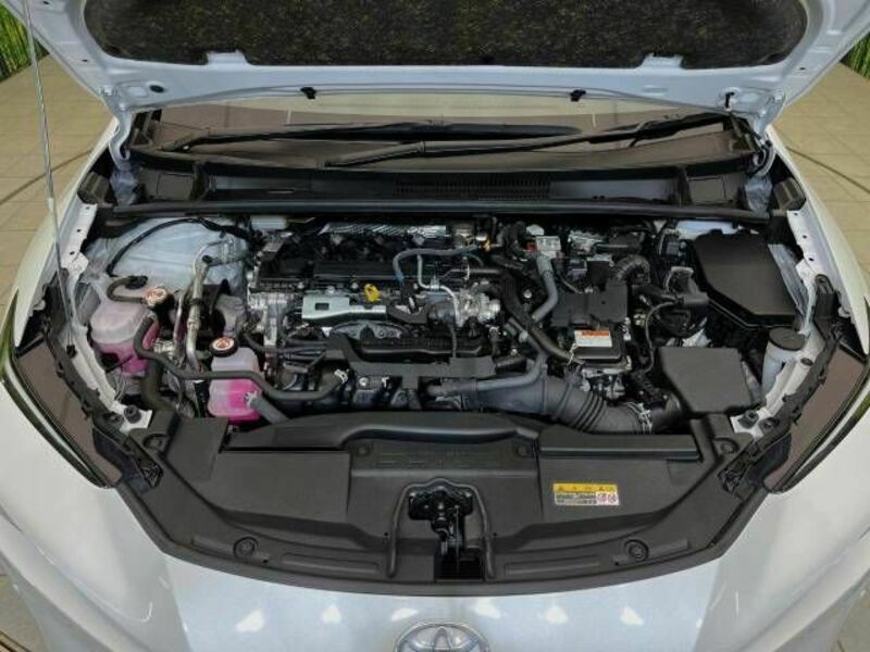 PRIUS-17