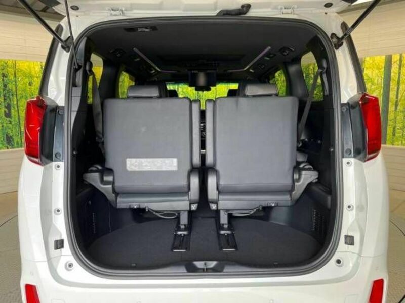 ALPHARD-11