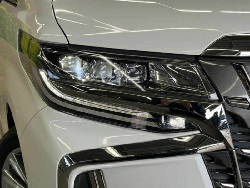 ALPHARD-13