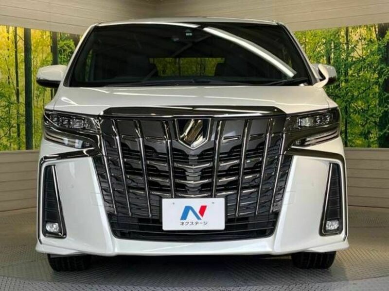 ALPHARD-15