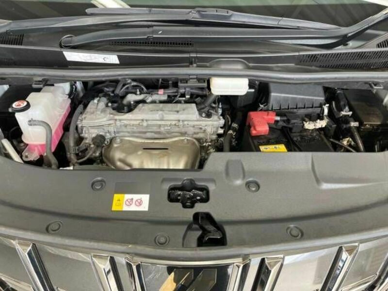 ALPHARD-19