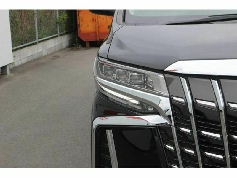 ALPHARD-10