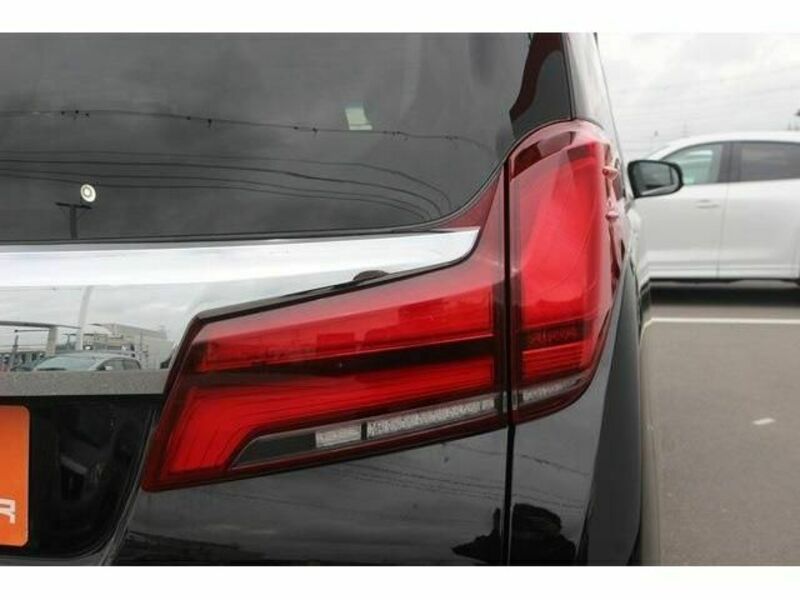ALPHARD-11