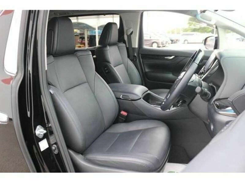 ALPHARD-13