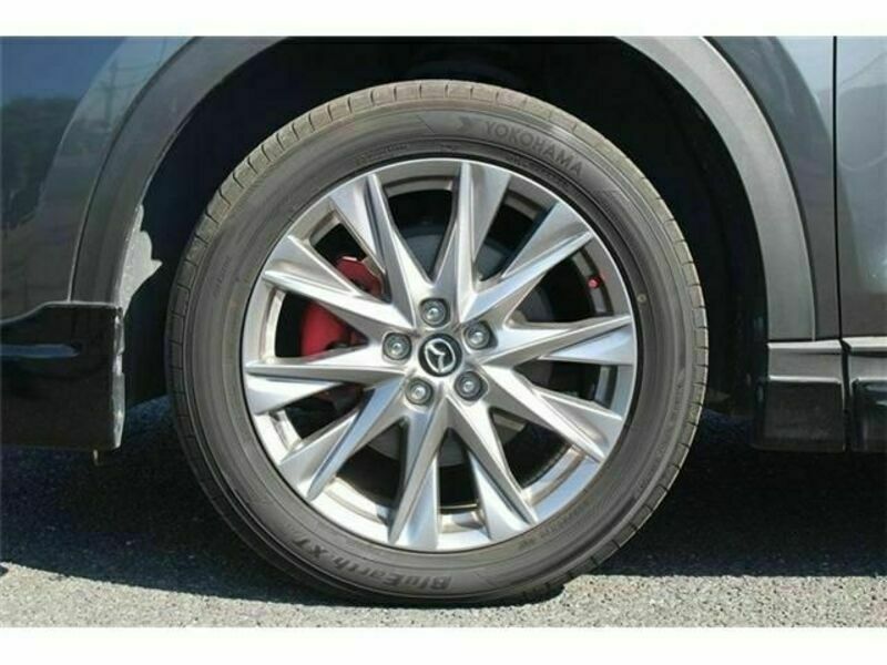 CX-8