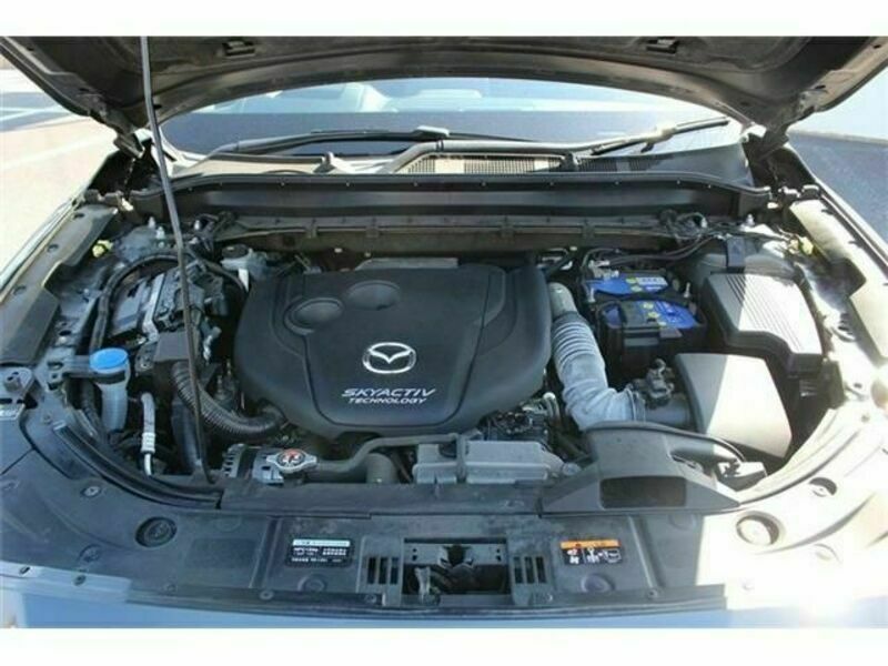 CX-8